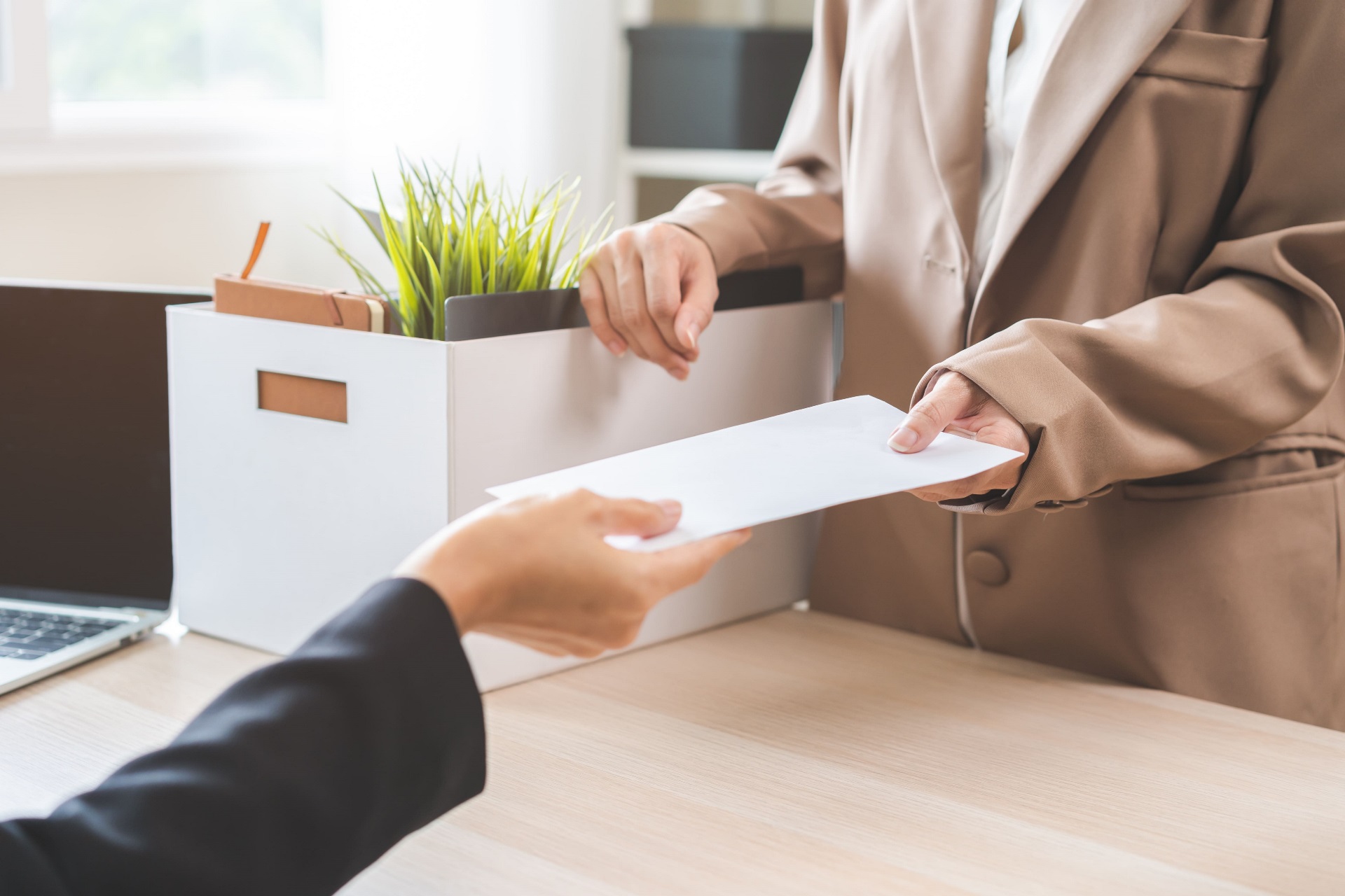 Een vlag van de Vlaamse leeuw.