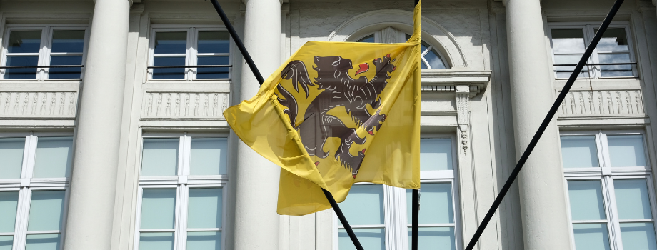 Een vlag van de Vlaamse leeuw.