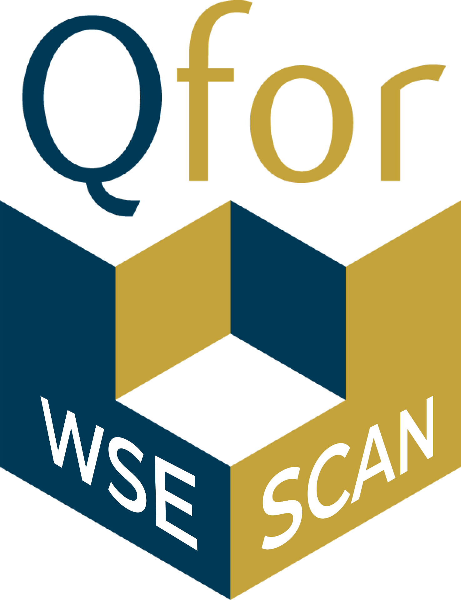 Qfor wse scan perspective