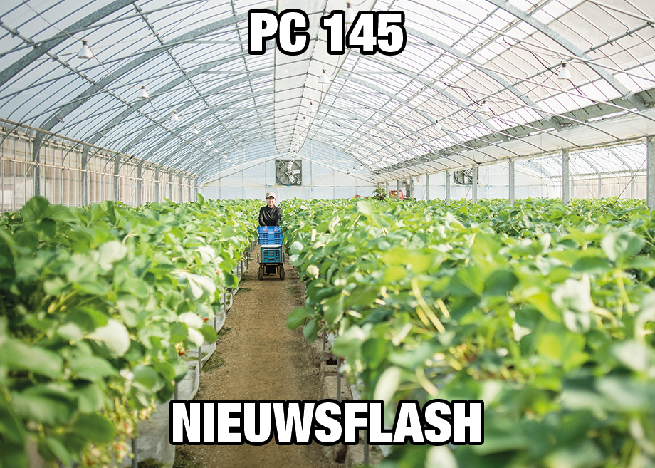 PC145_flash_NL