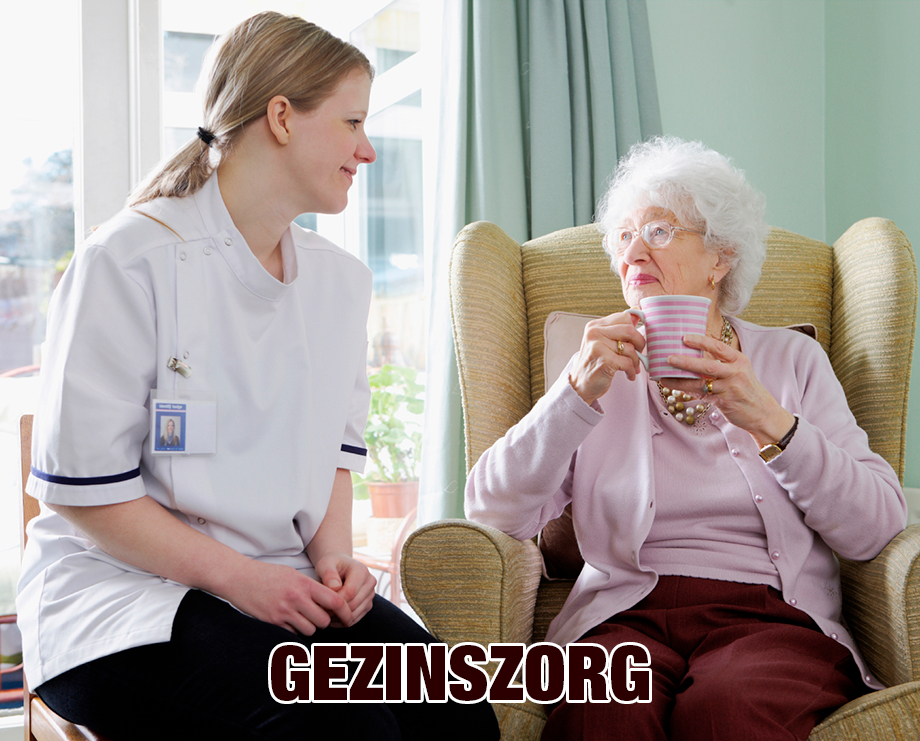 gezinszorg-website