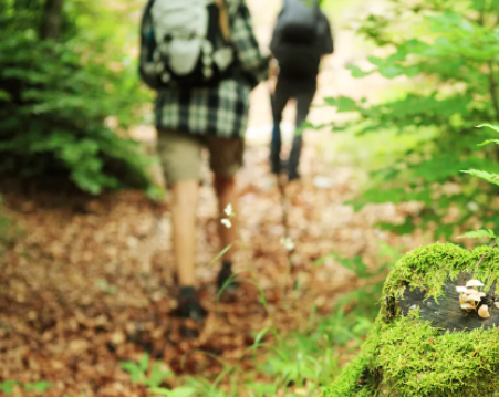 wandelcoaching2 wandelcoaching2
