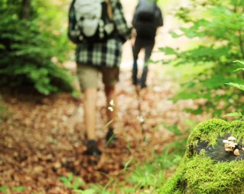 wandelcoaching2 wandelcoaching2