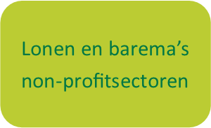 lonen en barema nonprofit