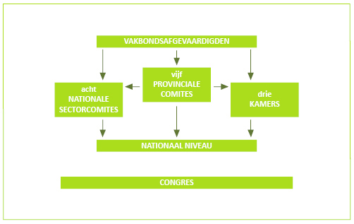 structuur COC