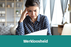 Werkloosheid widget